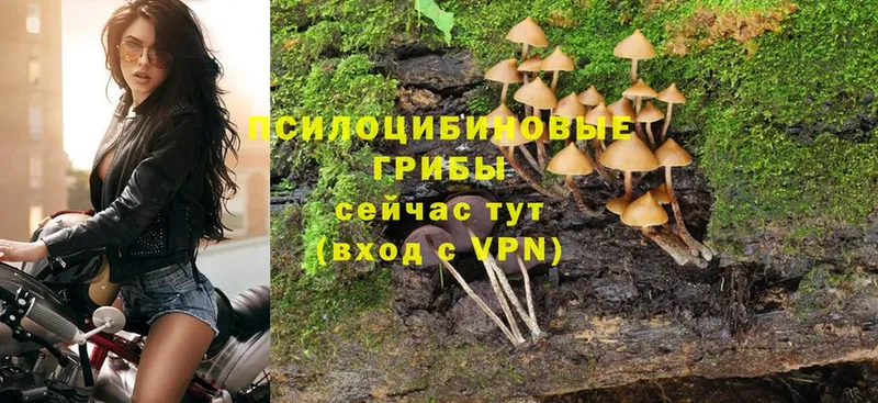 Галлюциногенные грибы MAGIC MUSHROOMS  Омск 